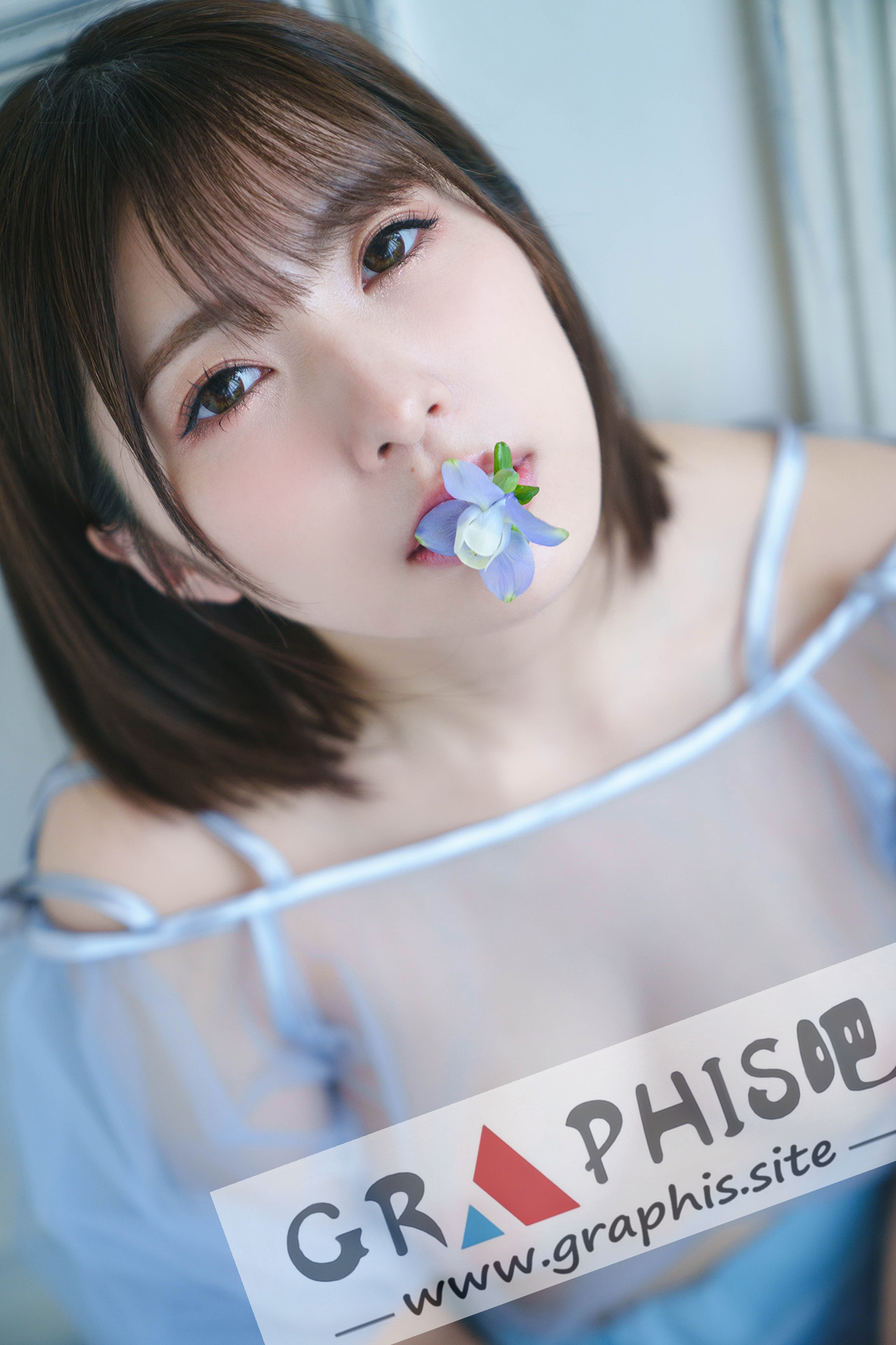 00041.jpg