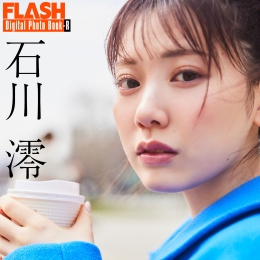 FLASH�ǥ�����д�漯R ʯ���� �������᤿���ʤ롣
